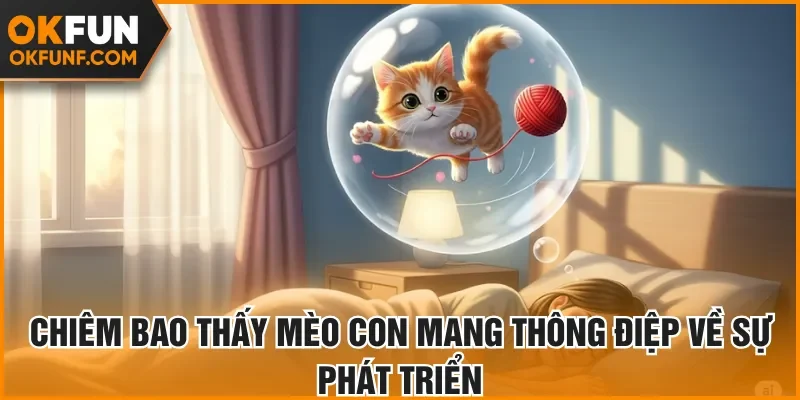 Chiêm bao mèo con mang thông điệp về sự phát triển