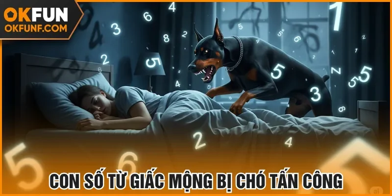Con số từ giấc mộng bị chó tấn công