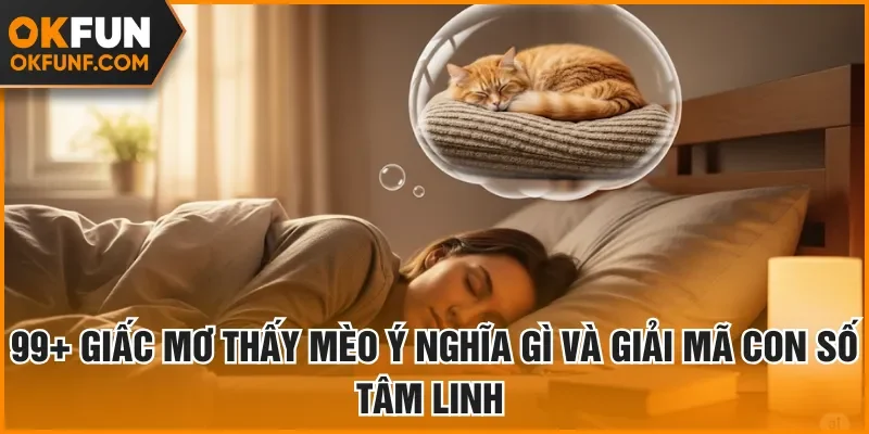 mơ thấy mèo