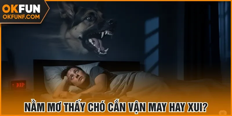 Nằm mơ thấy chó cắn vận may hay xui?