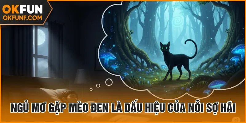 Ngủ mơ gặp mèo đen là dấu hiệu của nỗi sợ hãi