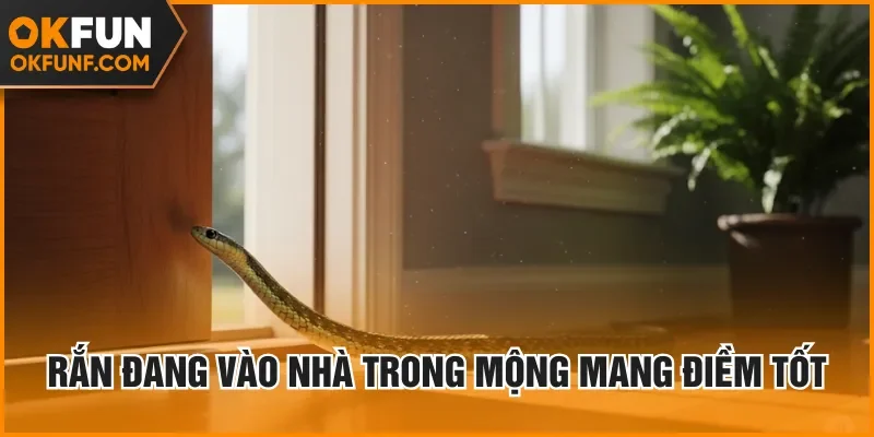 Rắn đang vào nhà trong mộng mang điềm tốt